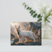 Postcards  Cat  Série 11 06 ポストカード (スタンド正面)