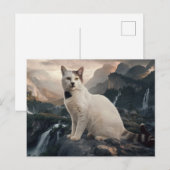 Postcards  Cat  Série 11 07 ポストカード (正面/裏面)