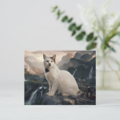 Postcards  Cat  Série 11 07 ポストカード (スタンド正面)