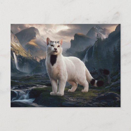 Postcards  Cat  Série 11 08 ポストカード (正面)