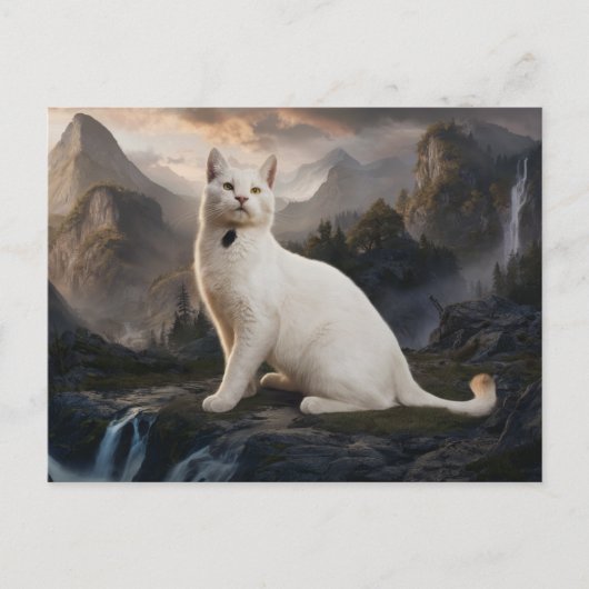 Postcards  Cat  Série 11 09 ポストカード (正面)