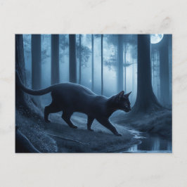 Postcards  Cat  Série 11 10 ポストカード