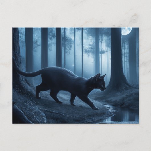 Postcards  Cat  Série 11 10 ポストカード (正面)