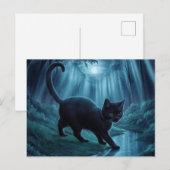 Postcards Cat Série 11 11 ポストカード (正面/裏面)