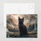 Postcards  Cat  Série 11 13 ポストカード (正面/裏面)