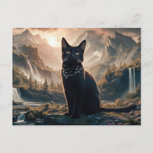 Postcards  Cat  Série 11 13 ポストカード (正面)