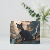 Postcards  Cat  Série 11 14 ポストカード (スタンド正面)