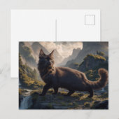 Postcards Cat Série 11 16 ポストカード (正面/裏面)