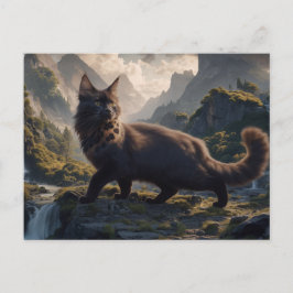 Postcards  Cat  Série 11 16 ポストカード