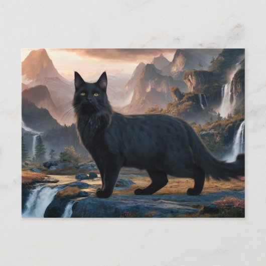 Postcards  Cat  Série 11 19 ポストカード (正面)