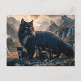 Postcards  Cat  Série 11 21 ポストカード