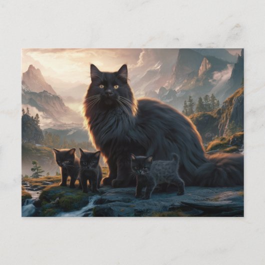 Postcards  Cat  Série 11 22 ポストカード (正面)