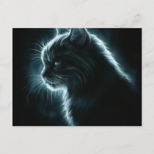 Postcards Cat Série 12 ポストカード (正面)