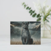 Postcards  Divers  Série 1 ポストカード (スタンド正面)