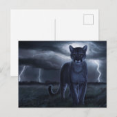 Postcards  Divers  Série 1 02 ポストカード (正面/裏面)