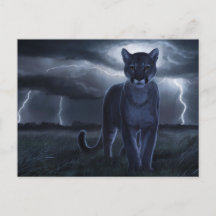 Postcards  Divers  Série 1 02