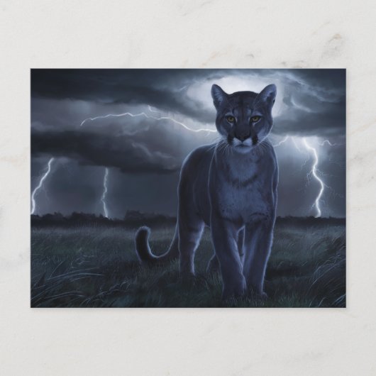 Postcards  Divers  Série 1 02 ポストカード (正面)