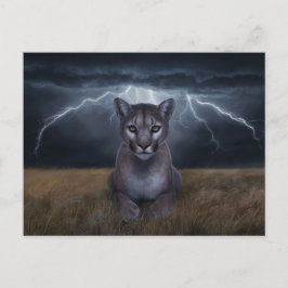 Postcards  Divers  Série 1 03 ポストカード