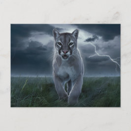 Postcards  Divers  Série 1 04 ポストカード