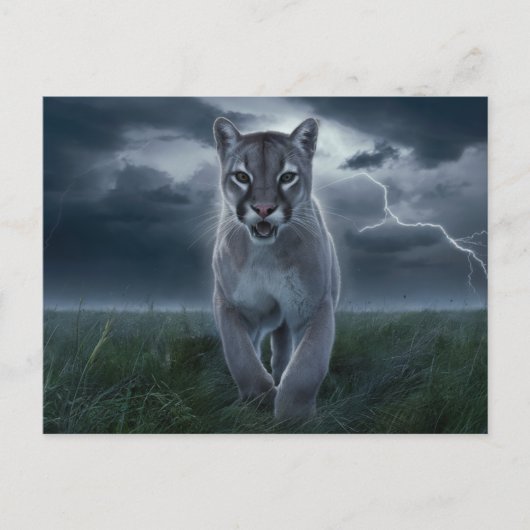 Postcards  Divers  Série 1 04 ポストカード (正面)