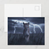 Postcards  Divers  Série 1 05 ポストカード (正面/裏面)