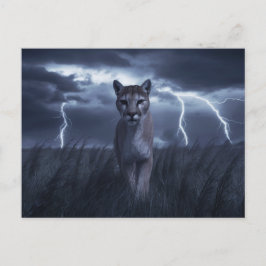 Postcards  Divers  Série 1 05 ポストカード