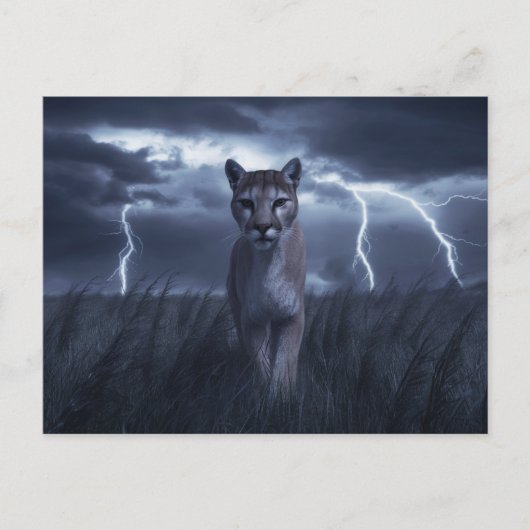 Postcards  Divers  Série 1 05 ポストカード (正面)