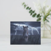 Postcards  Divers  Série 1 05 ポストカード (スタンド正面)