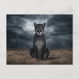 Postcards  Divers  Série 1 06 ポストカード