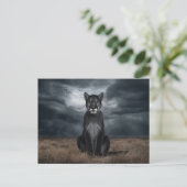 Postcards  Divers  Série 1 06 ポストカード (スタンド正面)