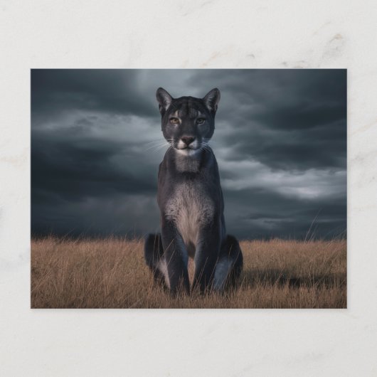 Postcards  Divers  Série 1 07 ポストカード (正面)