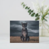 Postcards  Divers  Série 1 07 ポストカード (スタンド正面)