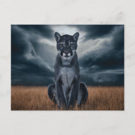 Postcards  Divers  Série 1 08 ポストカード