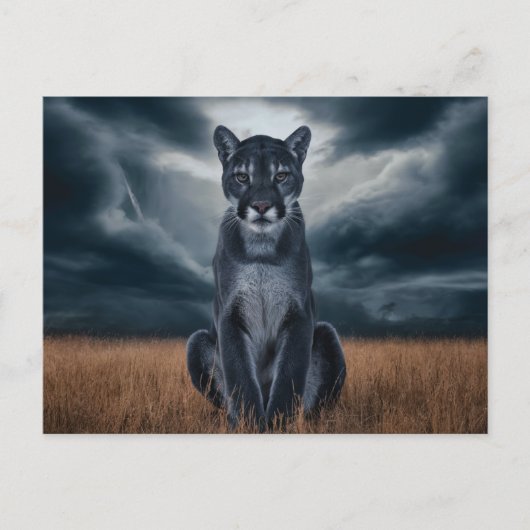 Postcards  Divers  Série 1 08 ポストカード (正面)