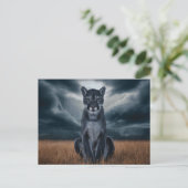 Postcards  Divers  Série 1 08 ポストカード (スタンド正面)