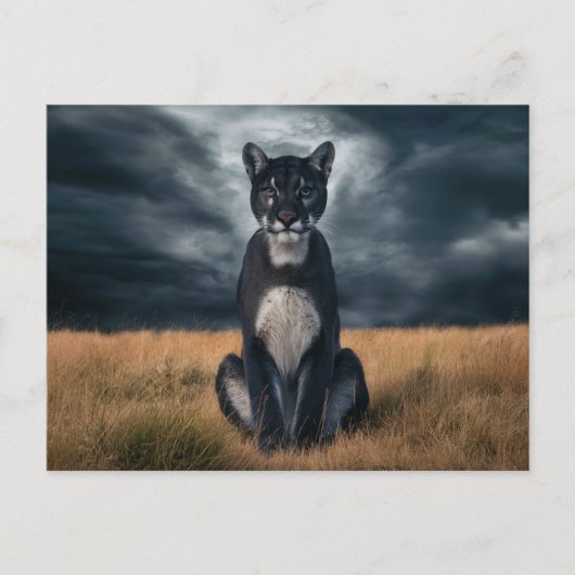 Postcards  Divers  Série 1 09 ポストカード (正面)