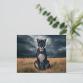 Postcards  Divers  Série 1 09 ポストカード (スタンド正面)