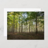 Postcards of Nature Images ポストカード (正面/裏面)