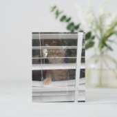 Postcrossing - どこにいるの？ママねこ ポストカード (スタンド正面)