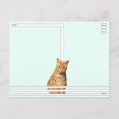 Postcrossing - どこにいるの？ママねこ ポストカード (裏面)