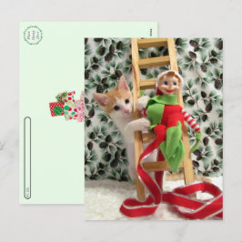 Postcrossing - アニー・ザ・キテンとエルフ シーズンポストカード