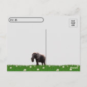 Postcrossing – アフリカゾウ葉書の写真 ポストカード (裏面)