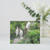 Postcrossing – ウッドストルクとユベントレス ポストカード (スタンド正面)