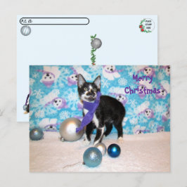 Postcrossing - カウボーイのクリスマス - 猫のポストカード ポストカード