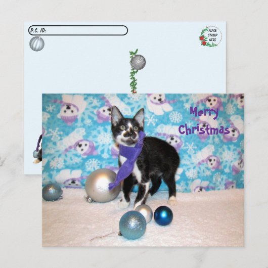Postcrossing - カウボーイのクリスマス - 猫のポストカード ポストカード (正面/裏面)