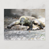 Postcrossing – コモドドラゴン来ズ・フォー・ユー ポストカード (正面)