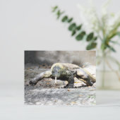 Postcrossing – コモドドラゴン来ズ・フォー・ユー ポストカード (スタンド正面)