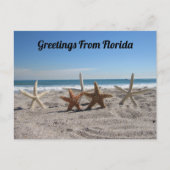 Postcrossing – シーシェルズオンビーチ ポストカード (正面)