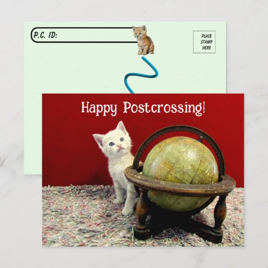 Postcrossing – タフィーMcDuff Around The World Cat ポストカード (正面/裏面)