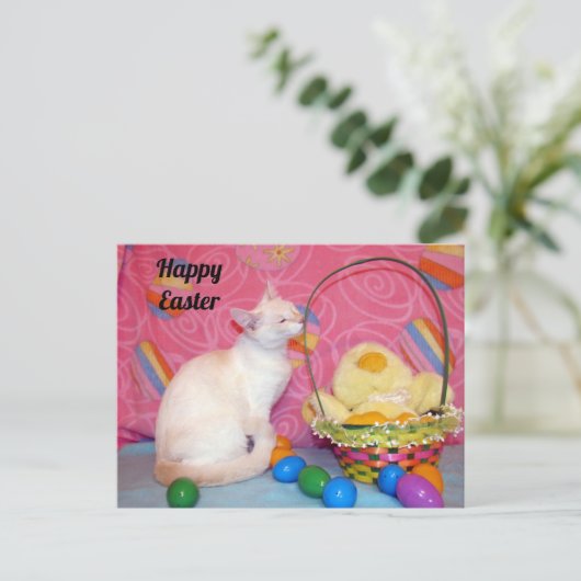 Postcrossing – ティファニーのイースターバスケット=猫 ポストカード (スタンド正面)